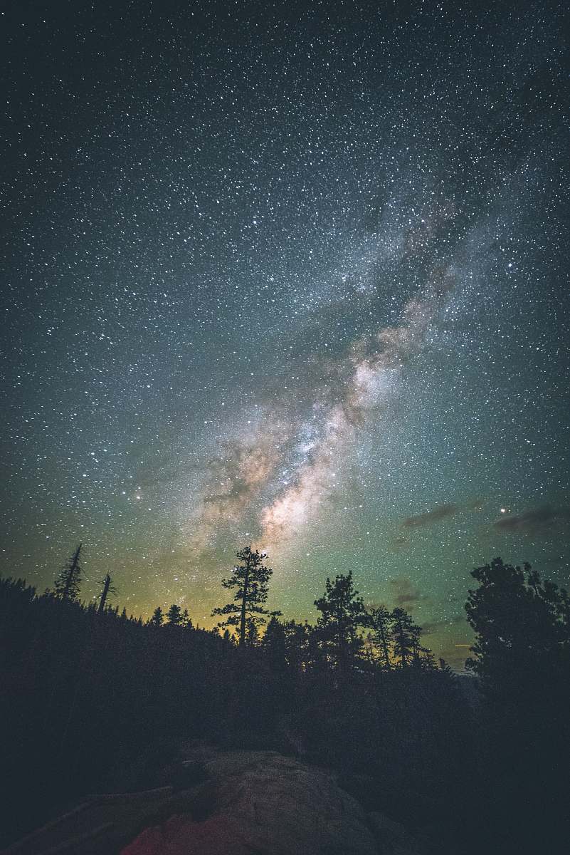 milky way silhouettes of trees under starry sky outdoors